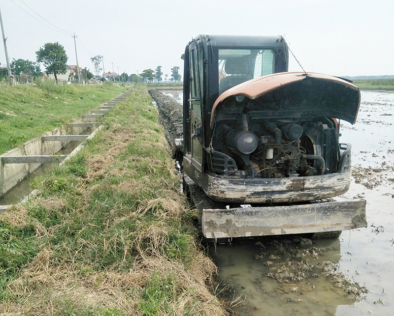 Vụ doanh nghiệp phá hoại ruộng HTX ở xã An Ninh: Chỉ đạo Công an huyện xác minh, điều tra làm rõ