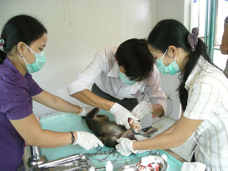 "Ân nhân" của động vật hoang dã