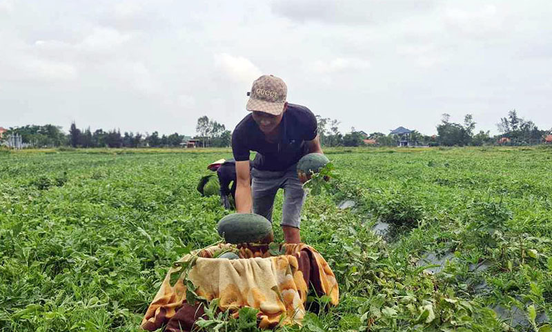Công nhận 30 sản phẩm đạt OCOP 3 sao cấp huyện