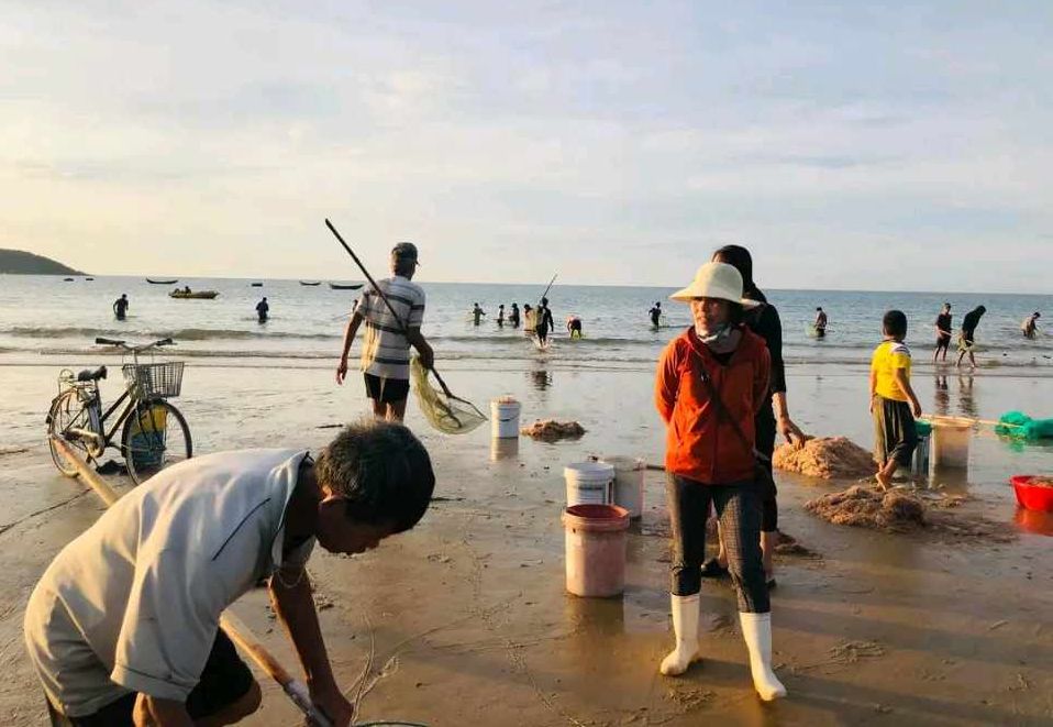 Đổ xô săn "lộc biển" ở Vũng Chùa