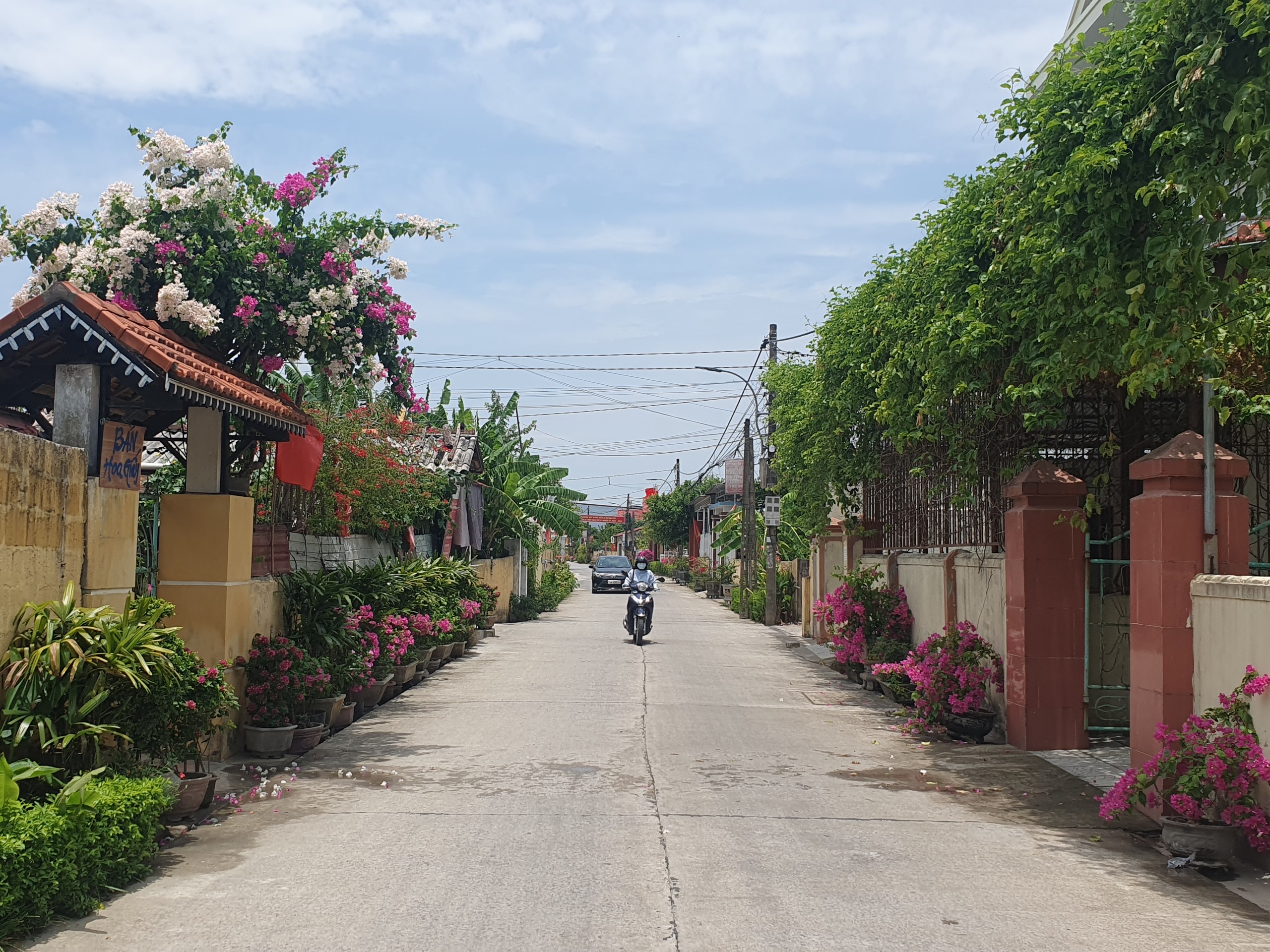 Toàn huyện Lệ Thủy đạt 376 tiêu chí nông thôn mới