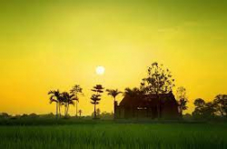Trở lại Đồi Ri