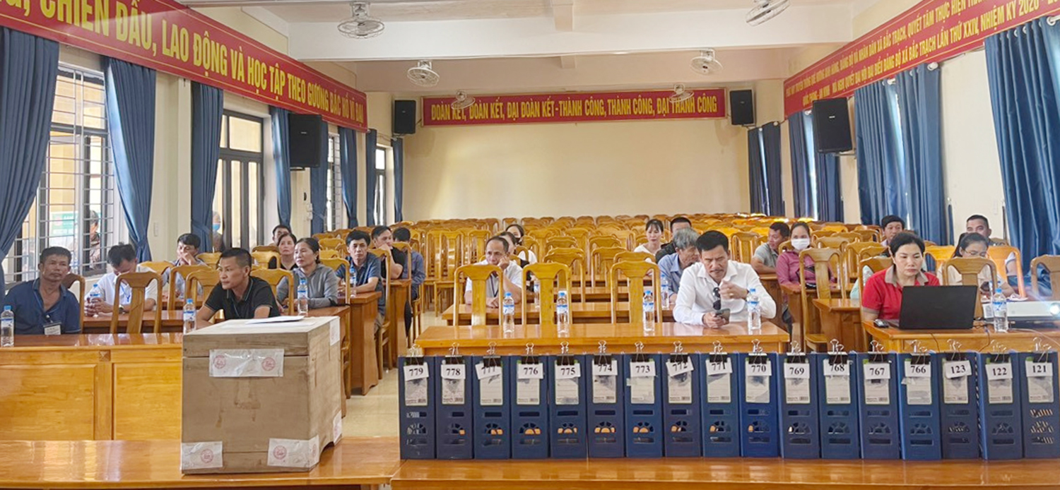 Bố Trạch: Đấu giá thành công 15 lô đất tại xã Bắc Trạch