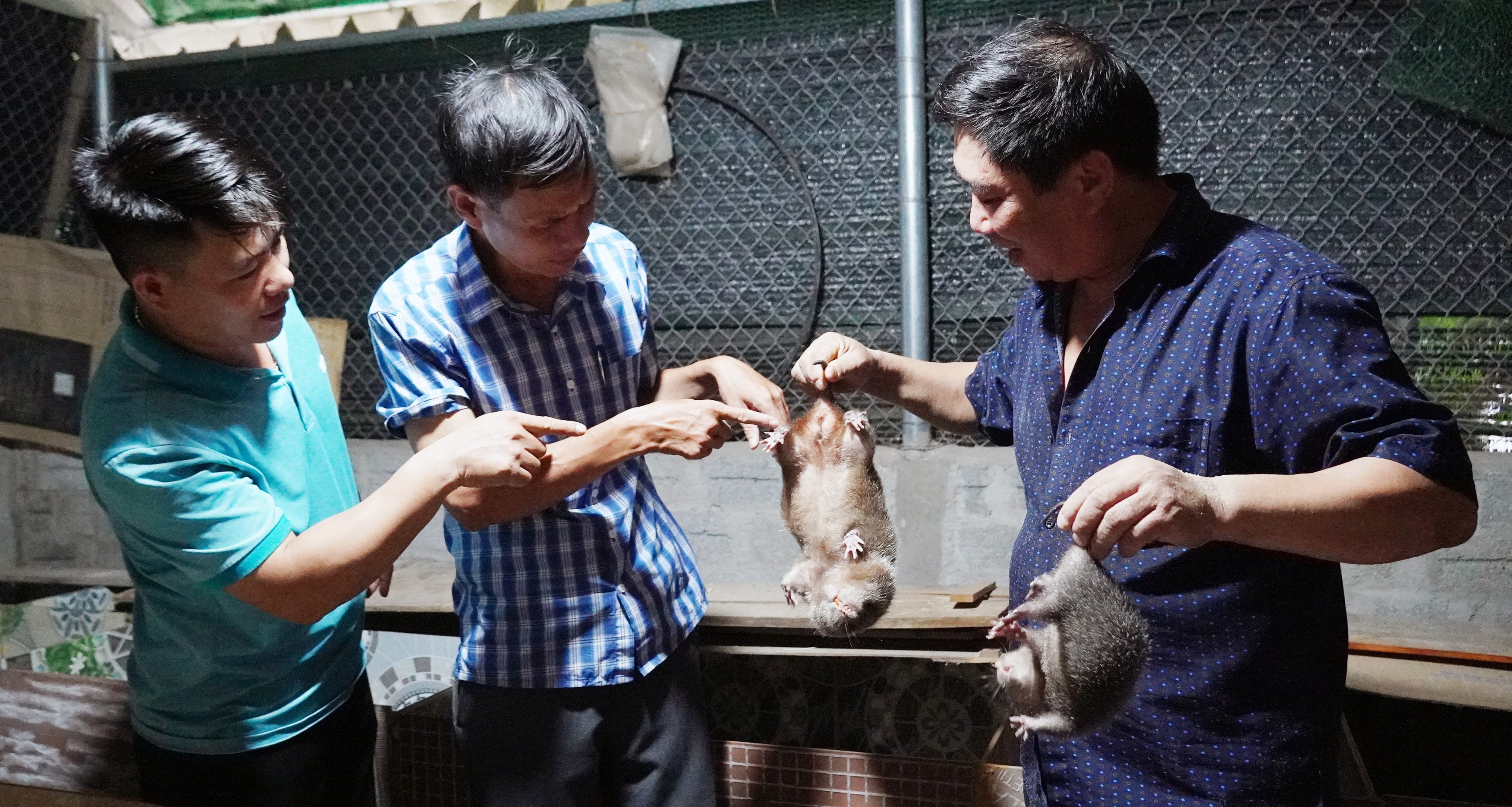 Tuyên Hóa: "Gặp khó" trong thực hiện nhóm chỉ tiêu phát triển kinh tế
