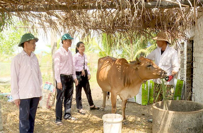 Tín dụng chính sách tiếp sức cho người nghèo