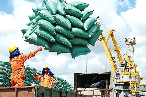 Đề xuất Thủ tướng Chính phủ ra Chỉ thị về tăng cường xuất khẩu gạo