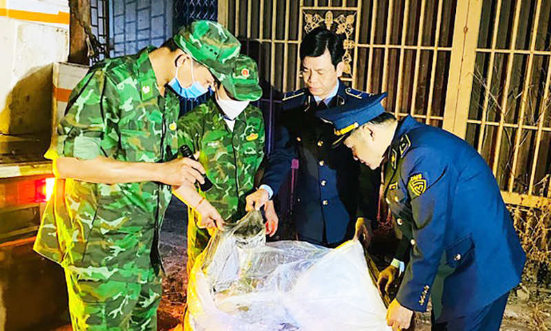 Yêu cầu lực lượng quản lý thị trường chặn nạn buôn bán, vận chuyển trái phép lợn