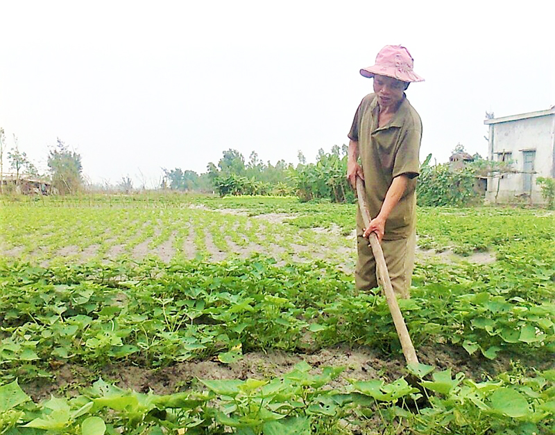 Người khiếm thị nỗ lực thoát nghèo