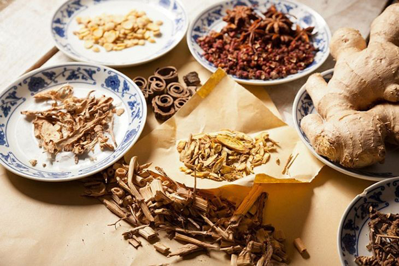 Việt Nam chia sẻ chính sách khuyến khích phát triển y học cổ truyền
