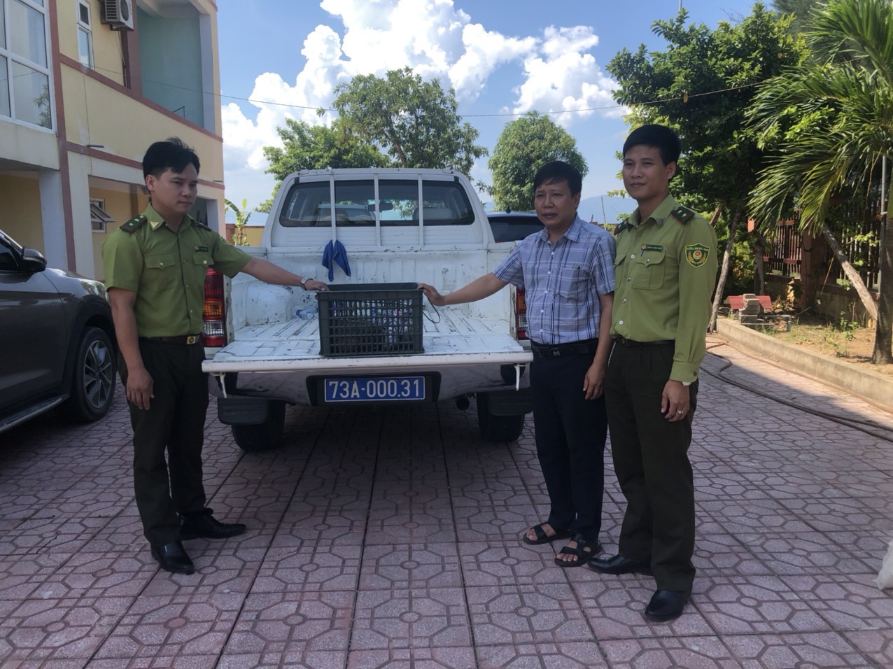 Người dân phát hiện, giao nộp một cá thể tê tê Java quý hiếm