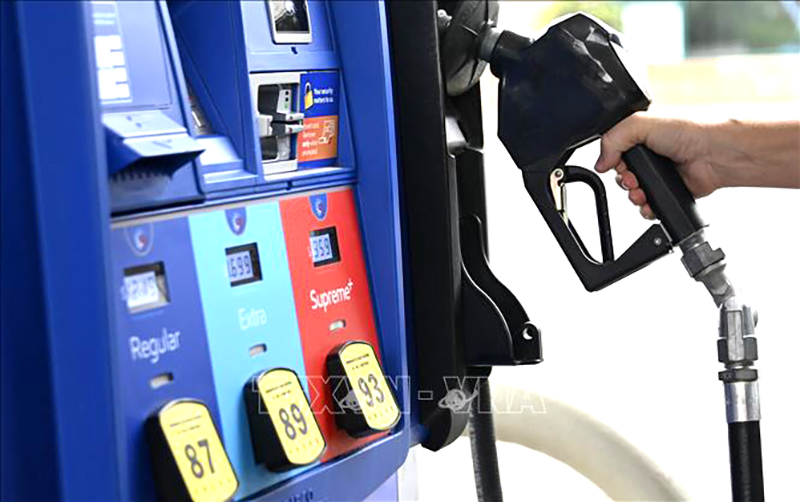 Châu Âu có nguy cơ cạn kiệt dầu diesel