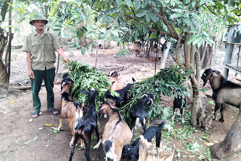 "Đòn bẩy" kinh tế giúp người dân thoát nghèo