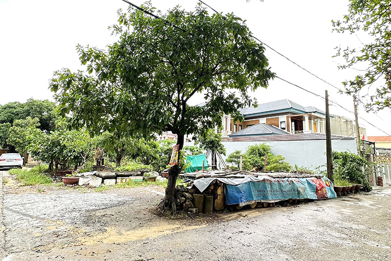 Vì sao chưa giải quyết việc đăng ký nhận chuyển nhượng quyền sử dụng đất?