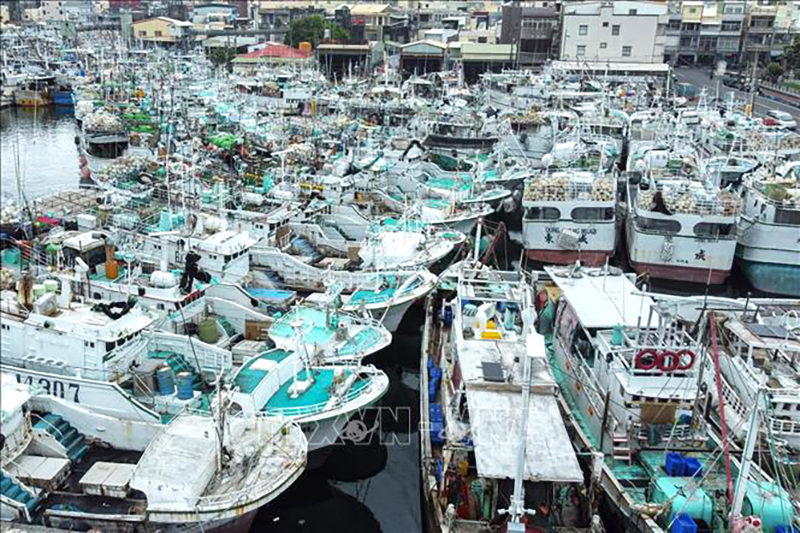 Trung Quốc hủy nhiều chuyến bay và đóng cửa trường học do bão Koinu