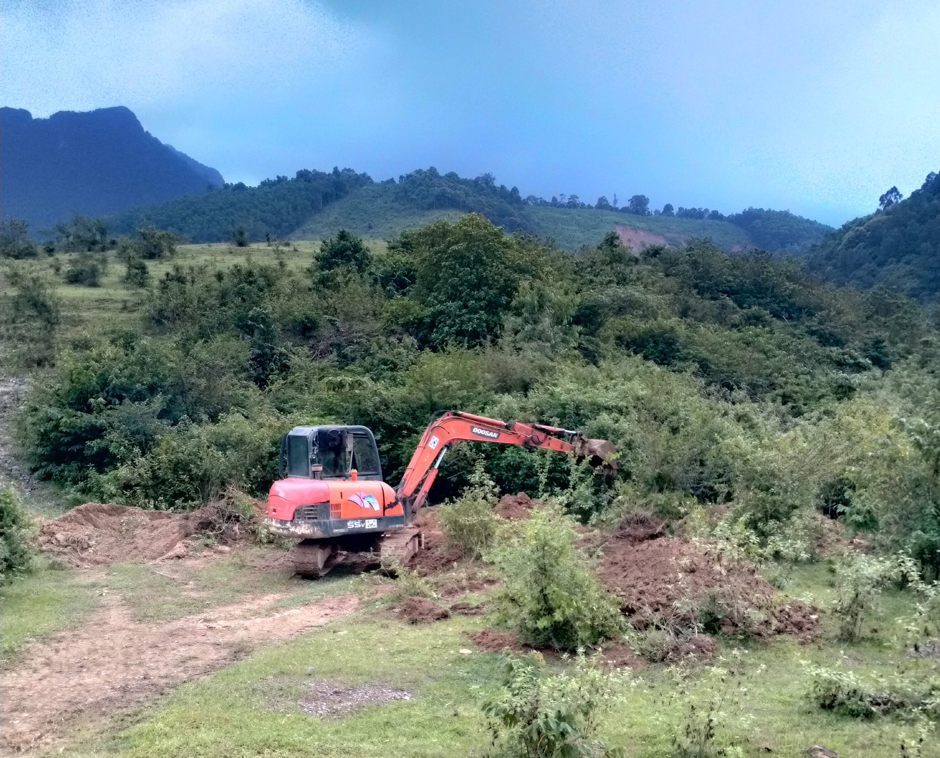 Triển khai các biện pháp phòng, chống dịch bệnh trên động vật