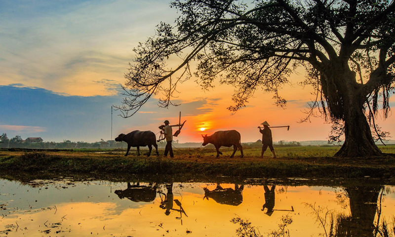 Mẹ và tháng mười
