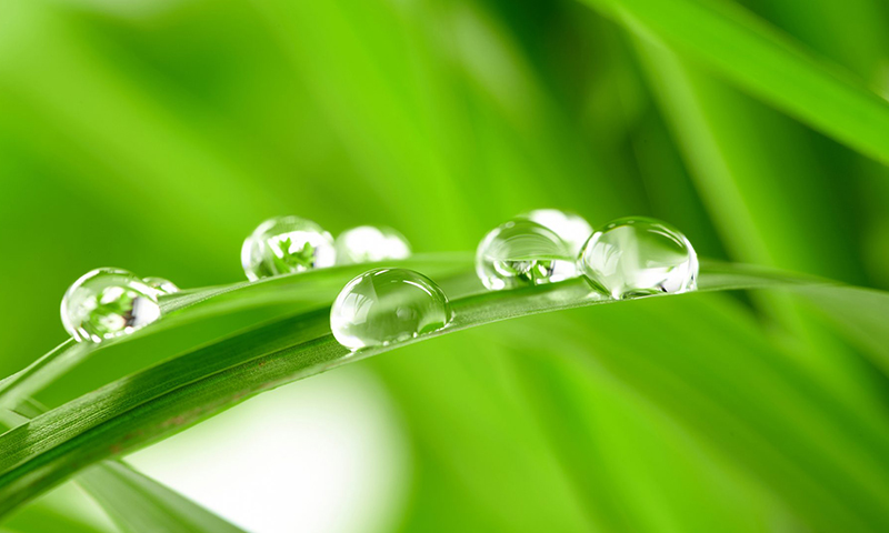 Màu của nước