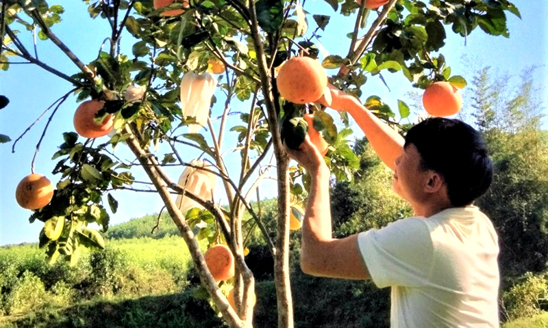 Người khiếm thị lan tỏa ý chí thoát nghèo