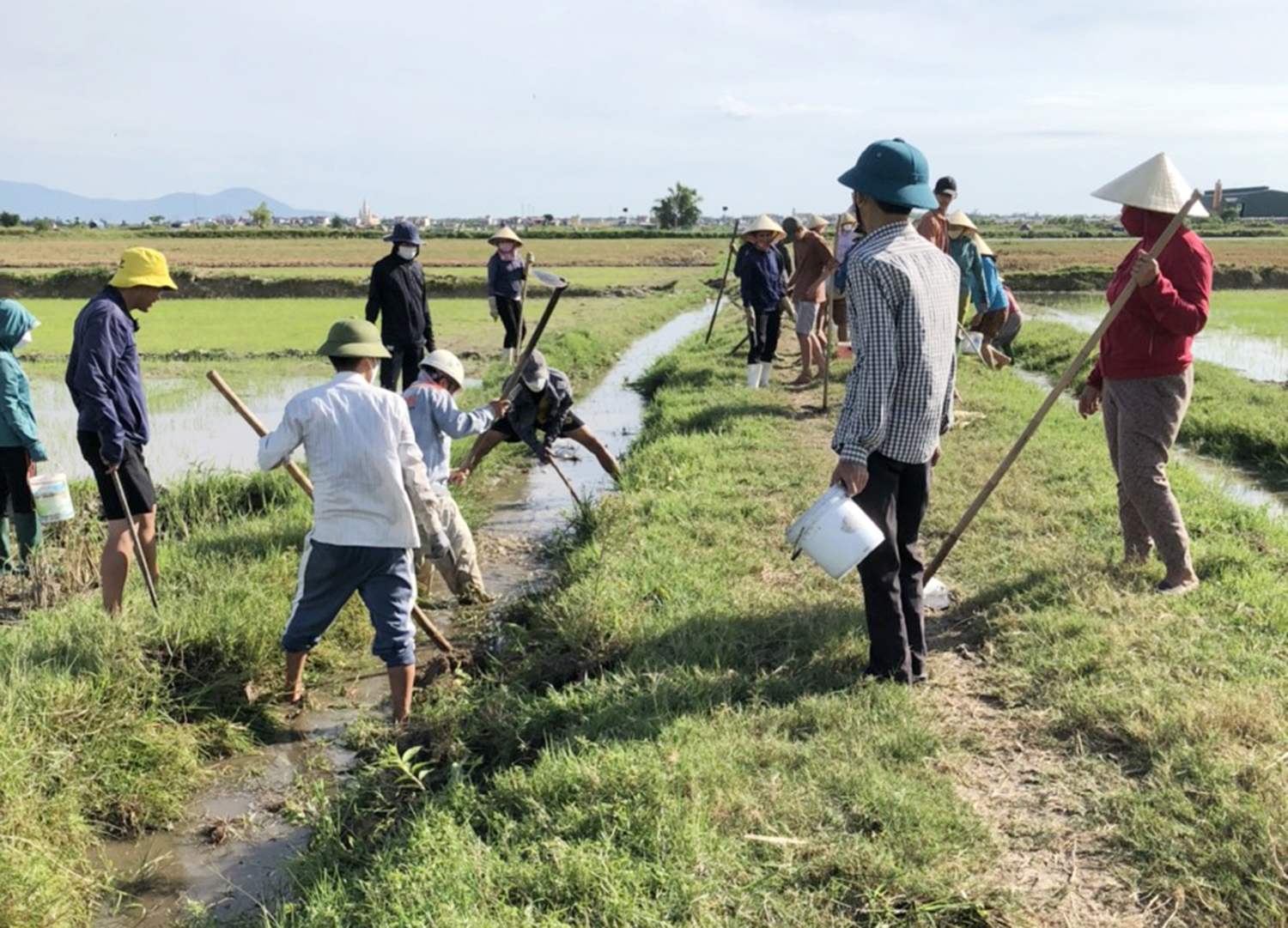 Bố Trạch: Các địa phương tập trung ra đồng diệt chuột
