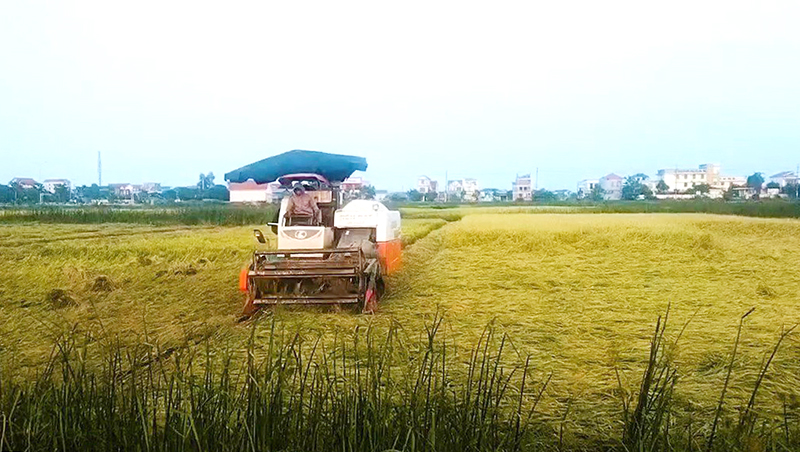 Nâng cao hiệu quả sản xuất nông nghiệp