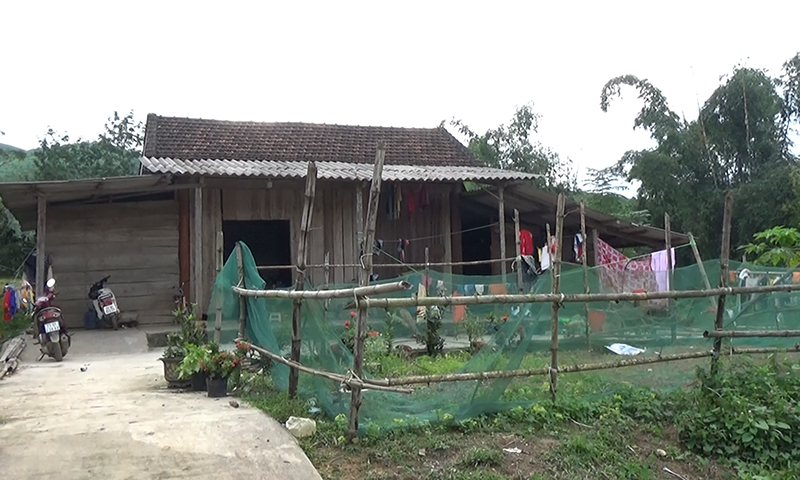 Ước mơ của Triều...
