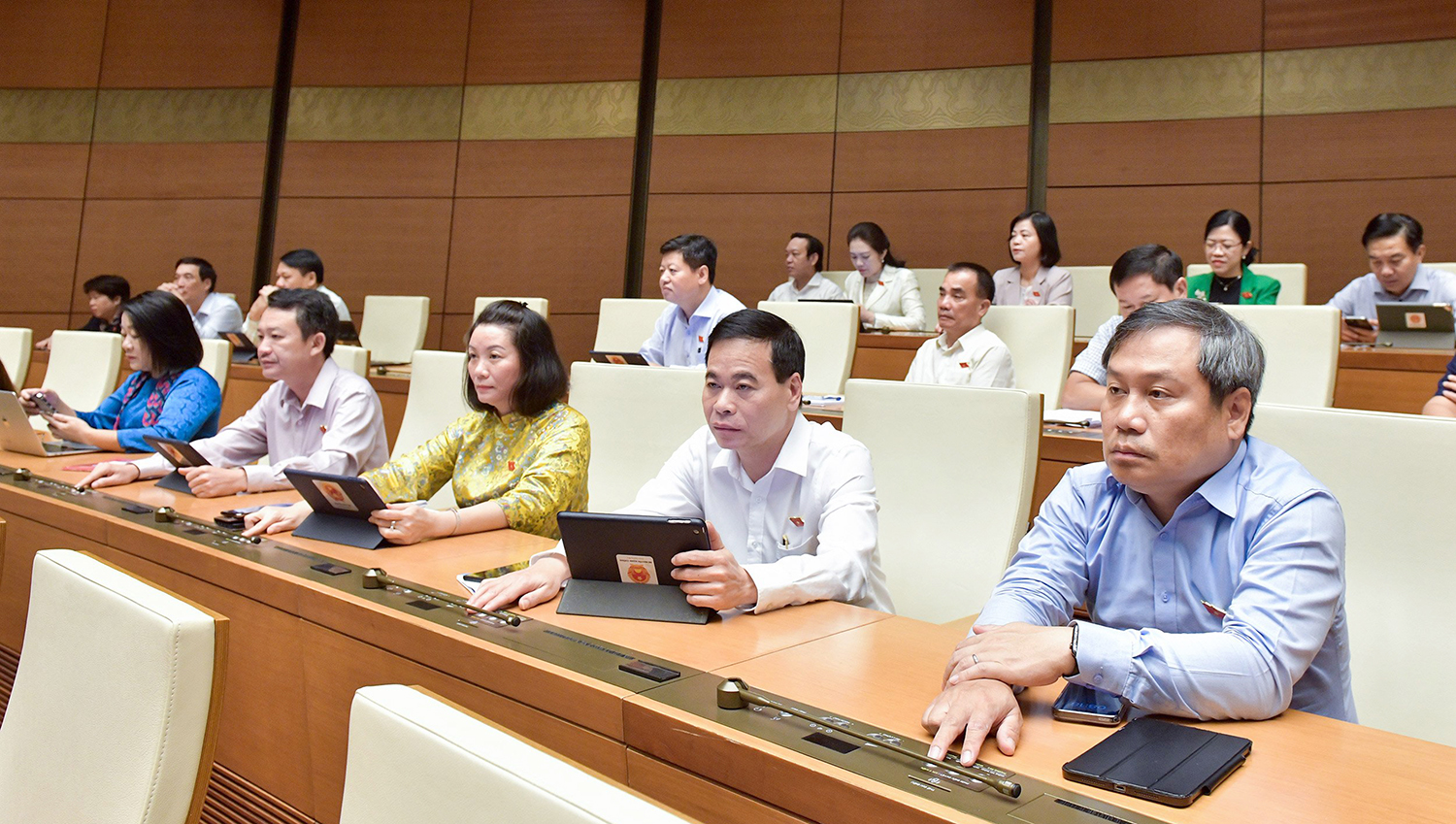 Đại biểu Quốc hội tỉnh góp ý dự thảo Luật Sửa đổi, bổ sung một số điều của Luật Đấu giá tài sản