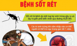 Thúc đẩy thực hiện loại trừ bệnh sốt rét tỉnh Quảng Bình giai đoạn 2023-2030