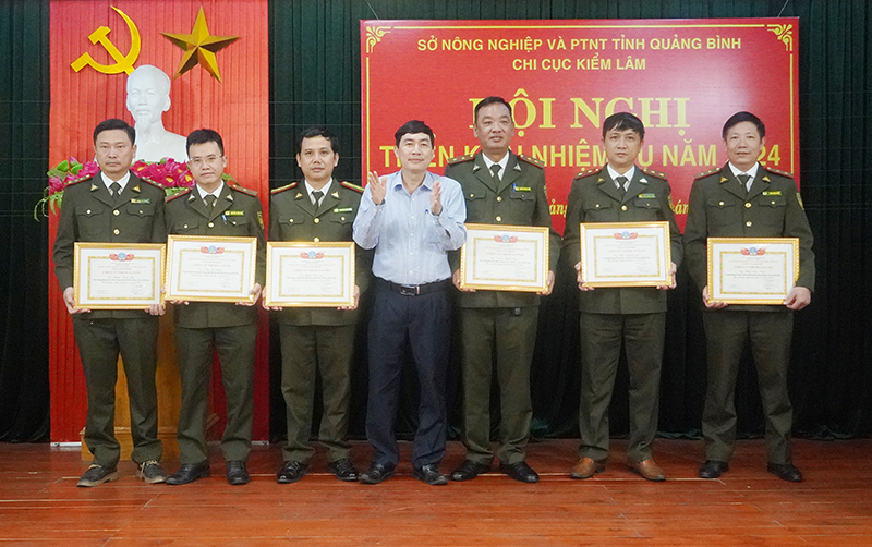 Toàn tỉnh trồng trên 10.000ha rừng tập trung