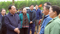 Đồng chí Phó Bí thư Thường trực Tỉnh ủy kiểm tra tình hình sản xuất tại Chi nhánh Lâm trường Phú Lâm