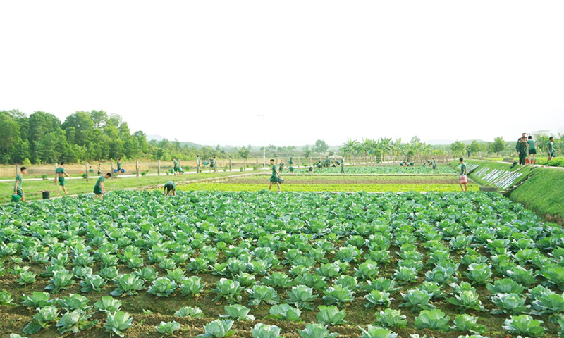 Triển khai hướng dẫn bảo đảm quân nhu cho hạ sĩ quan, chiến sĩ ra quân và tiêu chuẩn Tết cho bộ đội