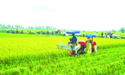 Chương trình mục tiêu quốc gia giảm nghèo bền vững tỉnh Quảng Bình năm 2024