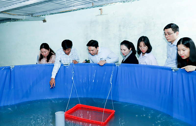 Khôi phục và phát triển nguồn gen cá chình mun