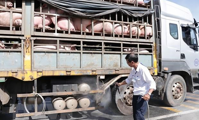 Tăng cường ngăn chặn buôn lậu động vật qua biên giới