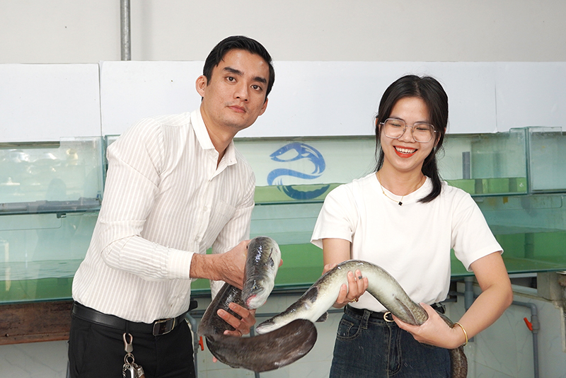 Khi tuổi Thìn khởi nghiệp