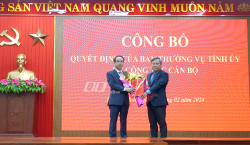 Công bố quyết định điều động, bổ nhiệm Trưởng ban Dân vận Tỉnh ủy