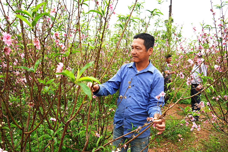 Cùng nông dân phát triển kinh tế