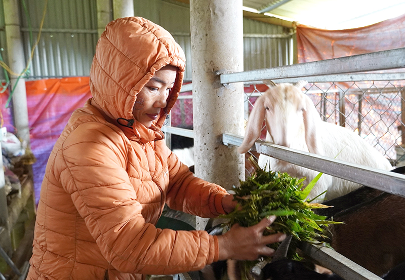 Vươn lên nhờ tín dụng chính sách