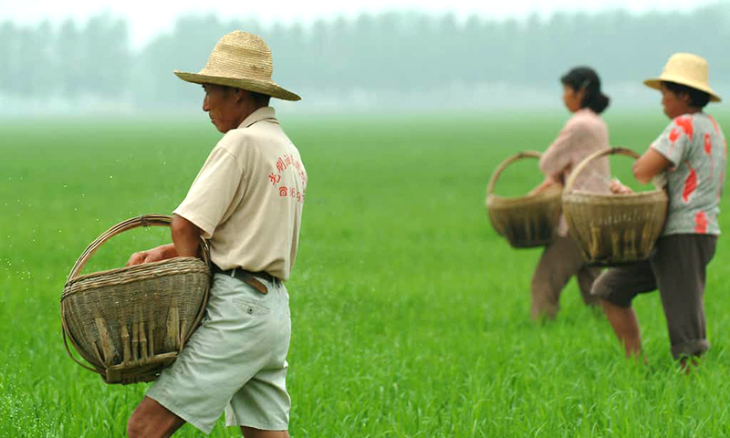 Lựa chọn khó khăn của người dân tại các vùng nông thôn Trung Quốc