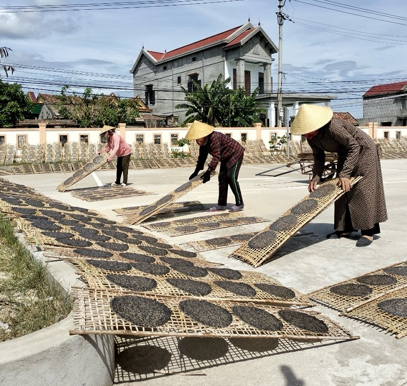 Đổi thay Quảng Lộc