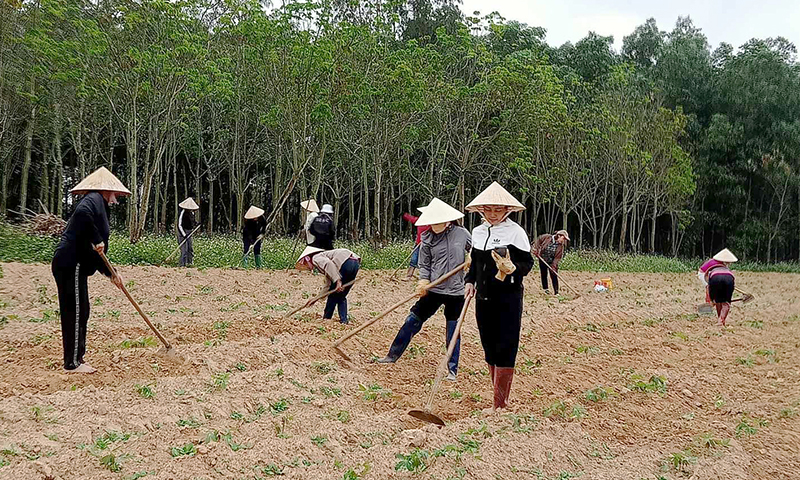 Phong trào "nhỏ"... hiệu quả lớn!