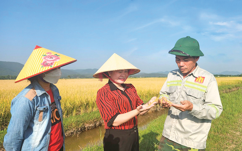 Hỗ trợ trên 1,8 tỷ đồng cho sáng tạo khoa học và đổi mới công nghệ
