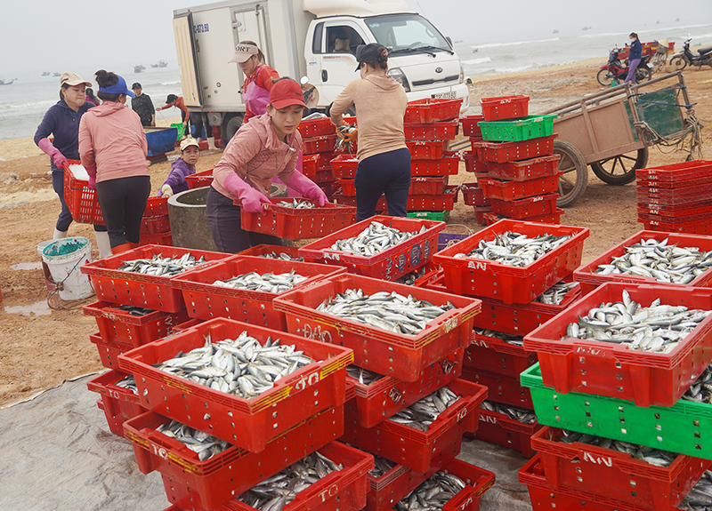 Bố Trạch: Tập trung khắc phục cảnh báo "thẻ vàng" của EC
