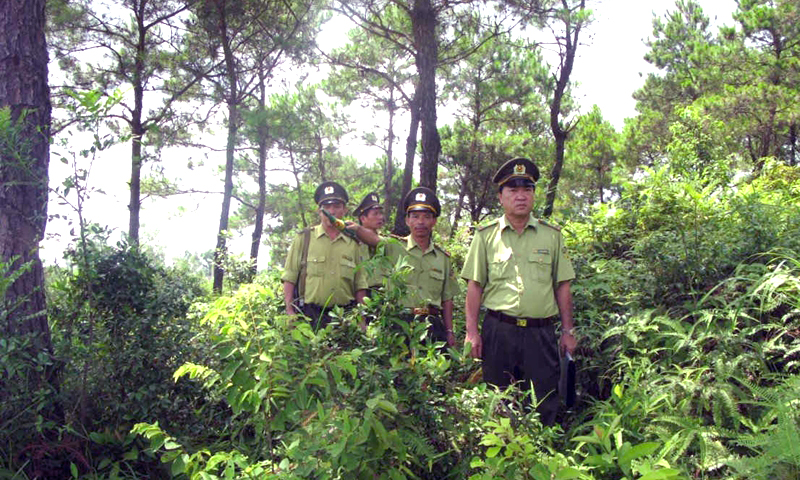 Tăng cường sự lãnh đạo của Đảng đối với công tác quản lý, bảo vệ và phát triển rừng
