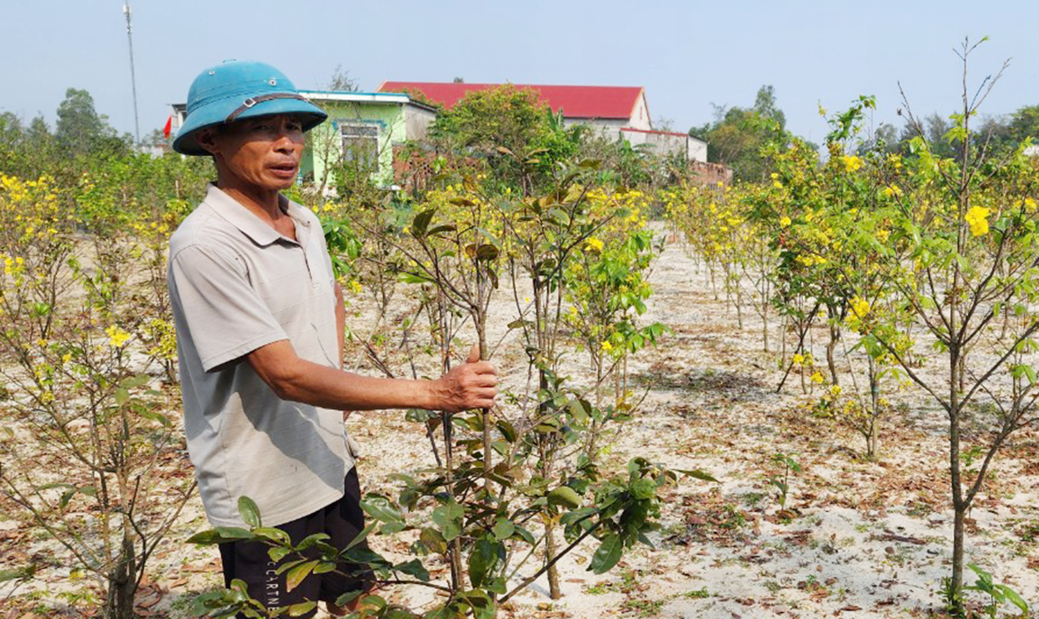 Bố Trạch: Nâng cao hiệu quả phong trào nông dân thi đua sản xuất, kinh doanh giỏi