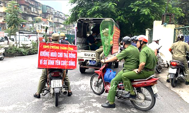 Tổ chức triển khai quyết liệt, có hiệu quả công tác phòng, chống bệnh dại