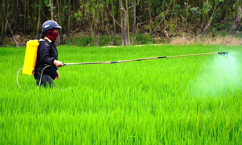 Chủ động phòng trừ sâu bệnh hại cây trồng
