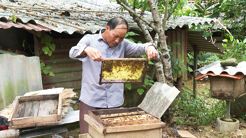Minh Hóa: Chú trọng phát triển các sản phẩm OCOP