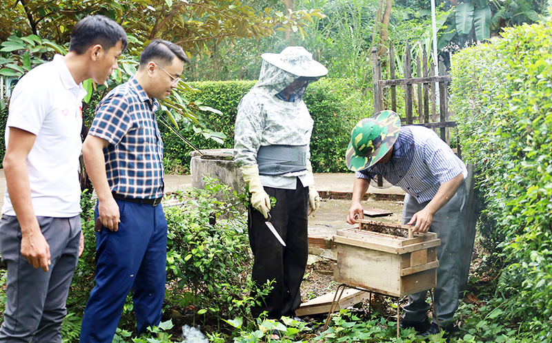 Minh Hóa: Đa dạng hóa mô hình sinh kế để giảm nghèo bền vững