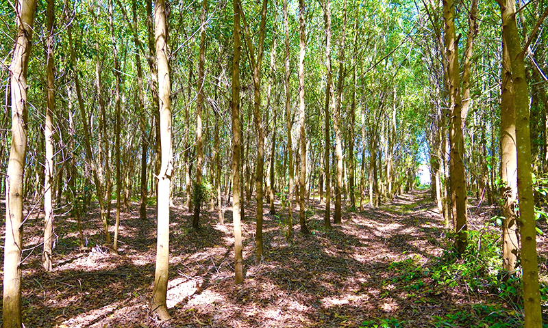 Nâng cao hiệu quả sản xuất, kinh doanh