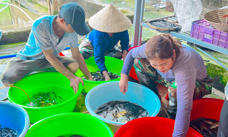 Từ bàn tay trắng trở thành ông chủ trang trại